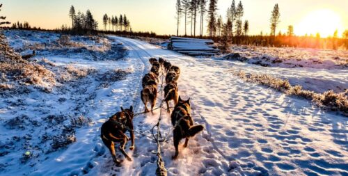 incentivereis Lapland